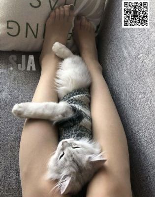 电视剧如懿传全集免费播放